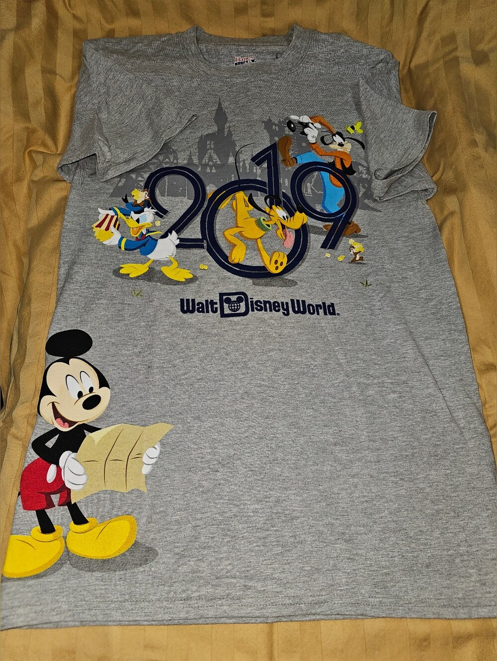 Disney Gray Kids Tee with Mickey, Donald & Pluto 2019 Graphic